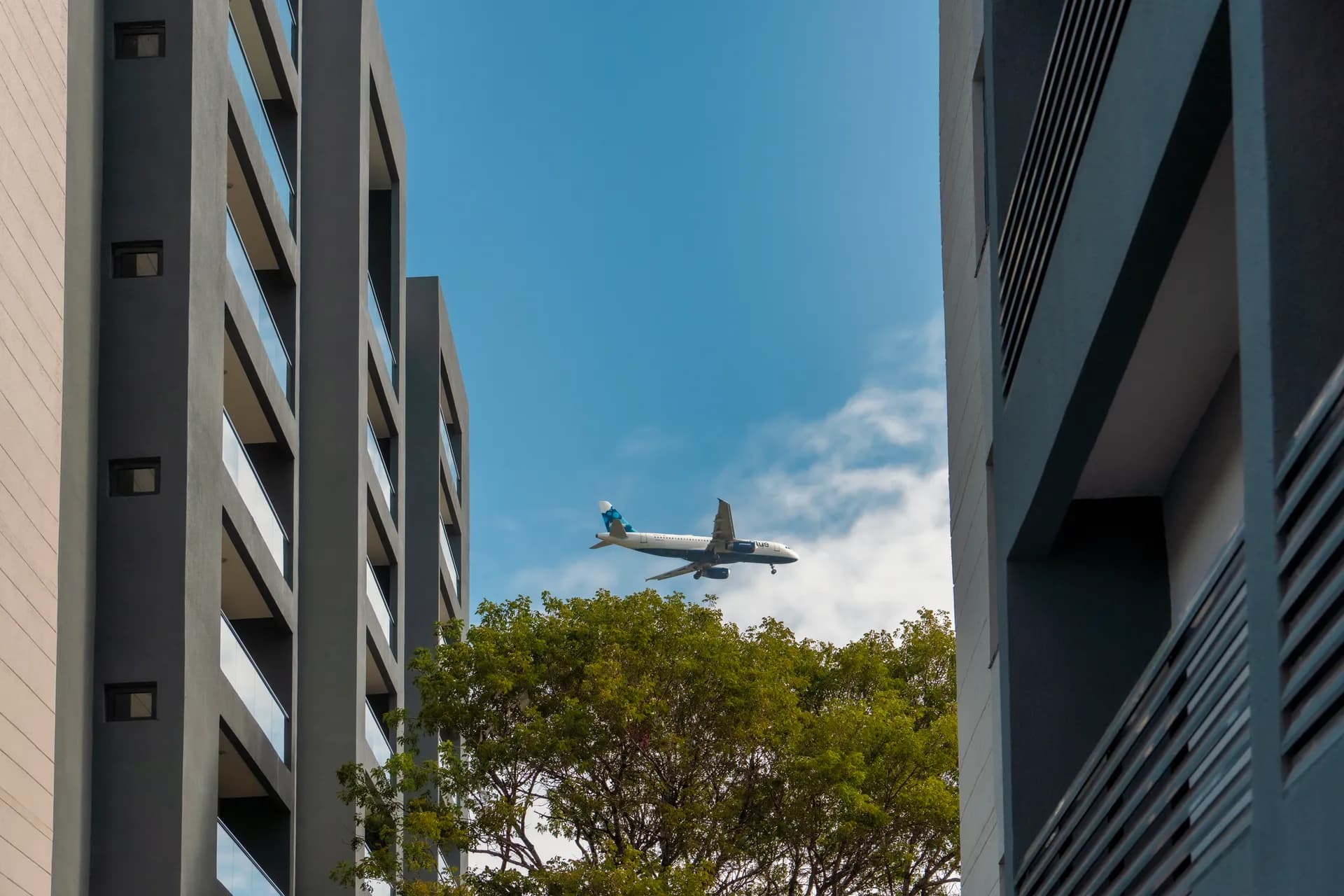 Livera Residences: vista 10 de la obra